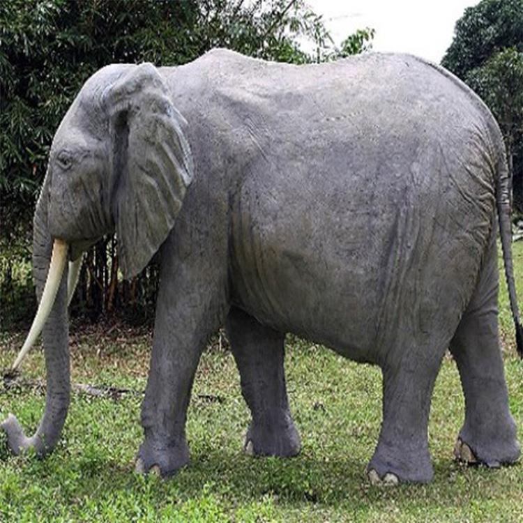 image007