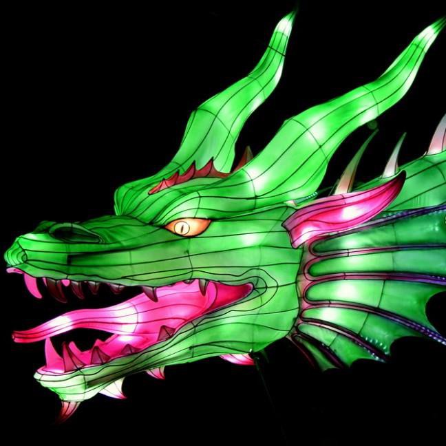 Lifelike Creative Dino Lantern For Parks And Museum Exhibition