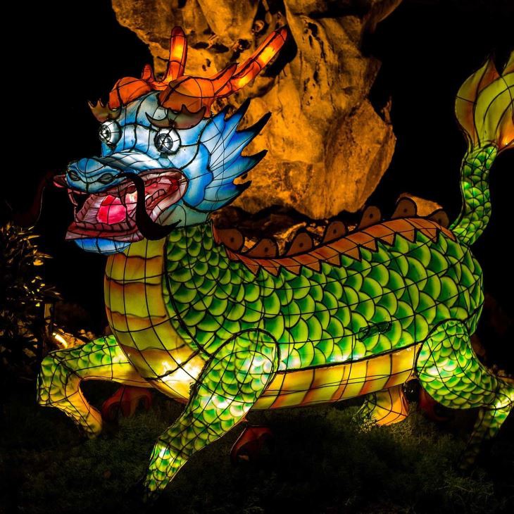 Lifelike Creative Dino Lantern For Parks And Museum Exhibition