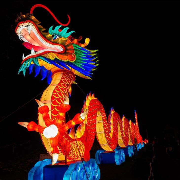 Lifelike Creative Dino Lantern For Parks And Museum Exhibition