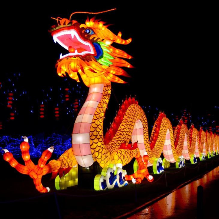Lifelike Creative Dino Lantern For Parks And Museum Exhibition
