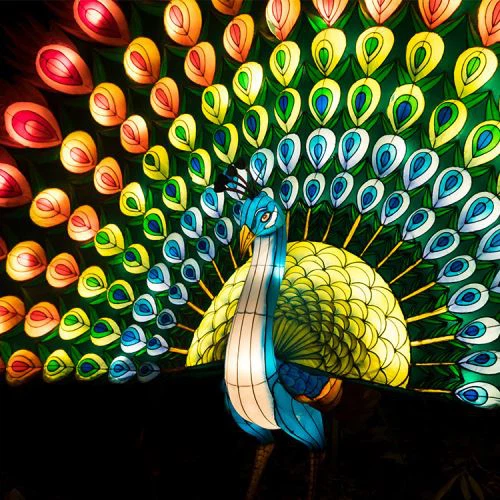 Chinese Silk Peacock Lantern Animal Lantern